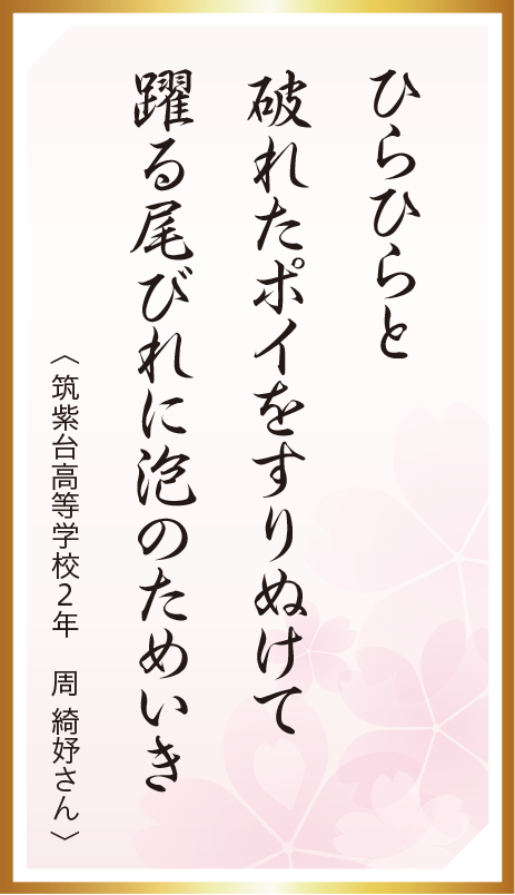 秀逸作品 13
