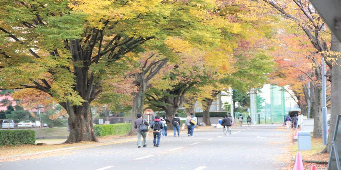 国際園芸博のバナー