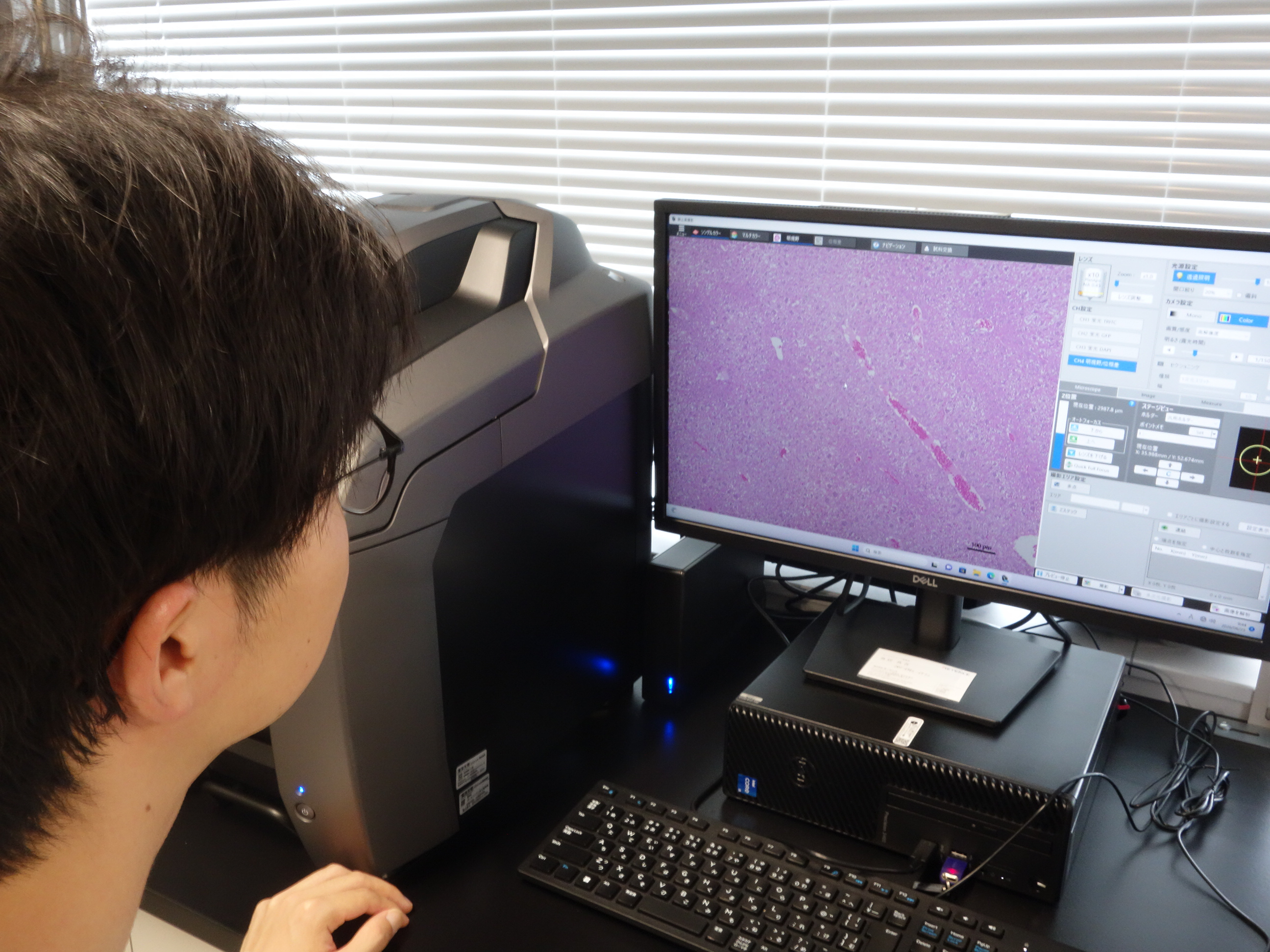 生物の知恵をものづくりに応用する