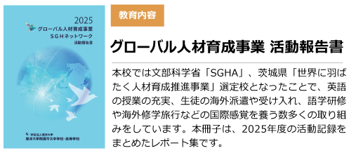 2025グローバル報告書
